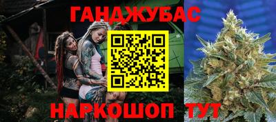 гашик Дубна