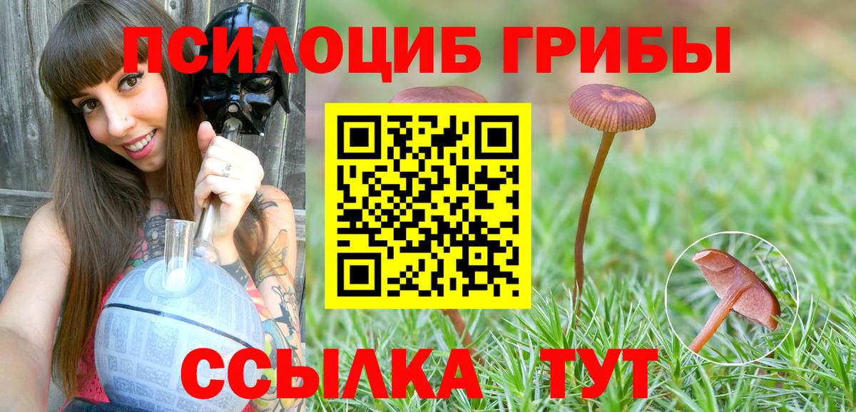 Псилоцибиновые грибы Psilocybe  Вход с VPN  Люберцы 